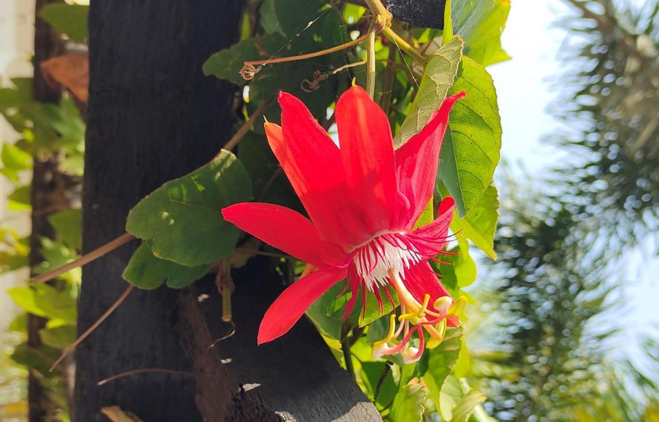 Upasana Eco Resort Bolpur Dış mekan fotoğraf