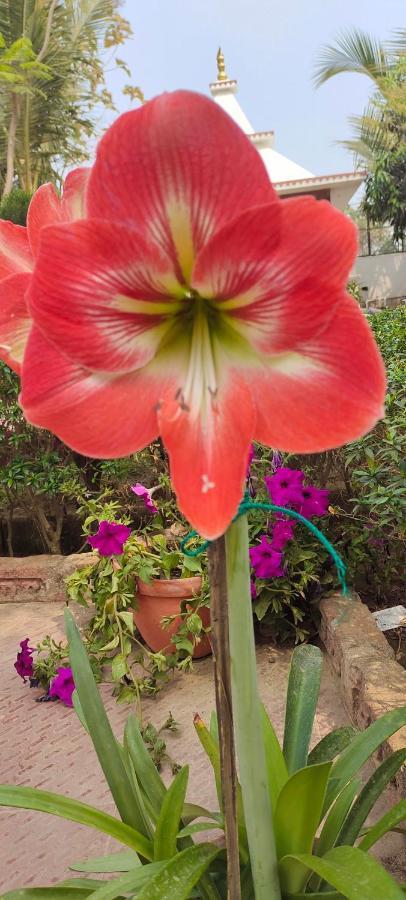 Upasana Eco Resort Bolpur Dış mekan fotoğraf